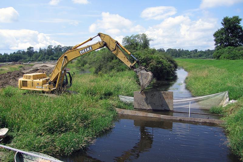 A backhoe near a stream in a marsh
