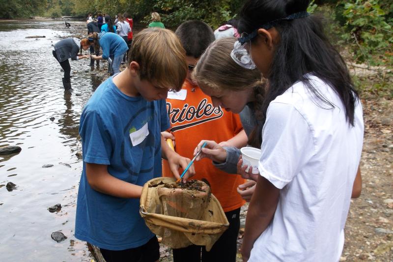 Four students examine items caught in a net as part of a stream exploration lesson