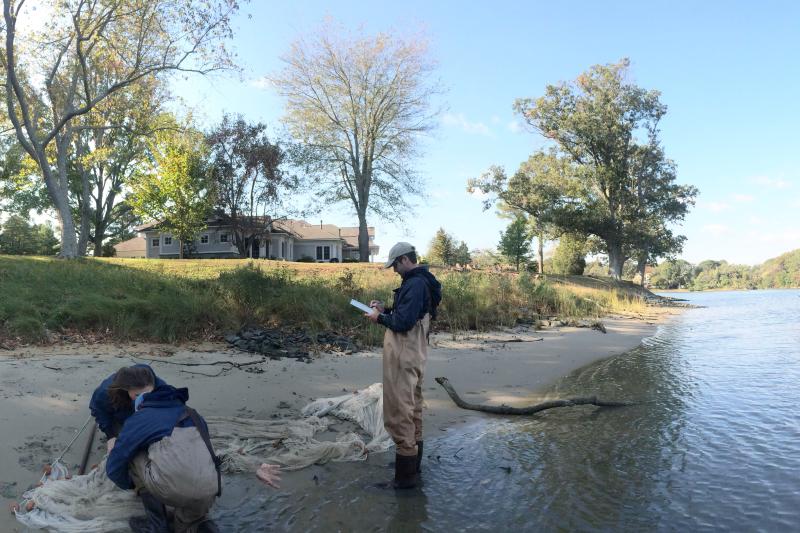 Three scientists examine and document the contents of a net on the shores of a river.