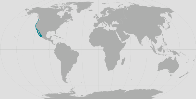 World map providing approximate representation of the California sea lion’s range