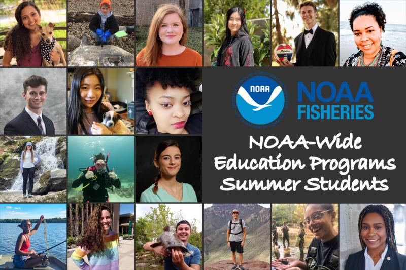 Collage of interns from the 20201 Programs