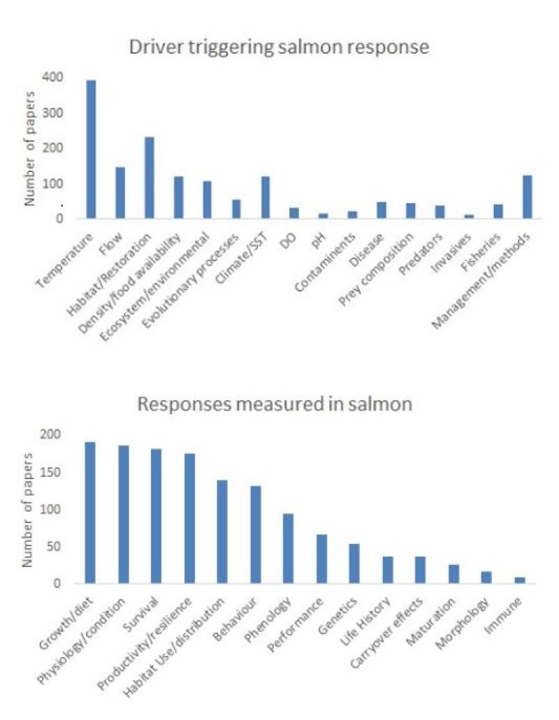 Bar charts show the percentage of papers in the scientific literature that address some of these topics from about 2,000 relevant papers published during 2010‑2019.  Upper chart shows the range of drivers affect salmon response to the environment, and lower chart shows the range of responses have been measured in salmon. All of these papers help explain their cumulative response to climate change.