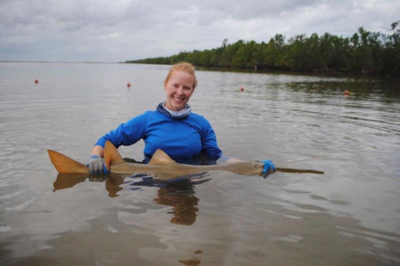 A woman standing in water holding a sawfish