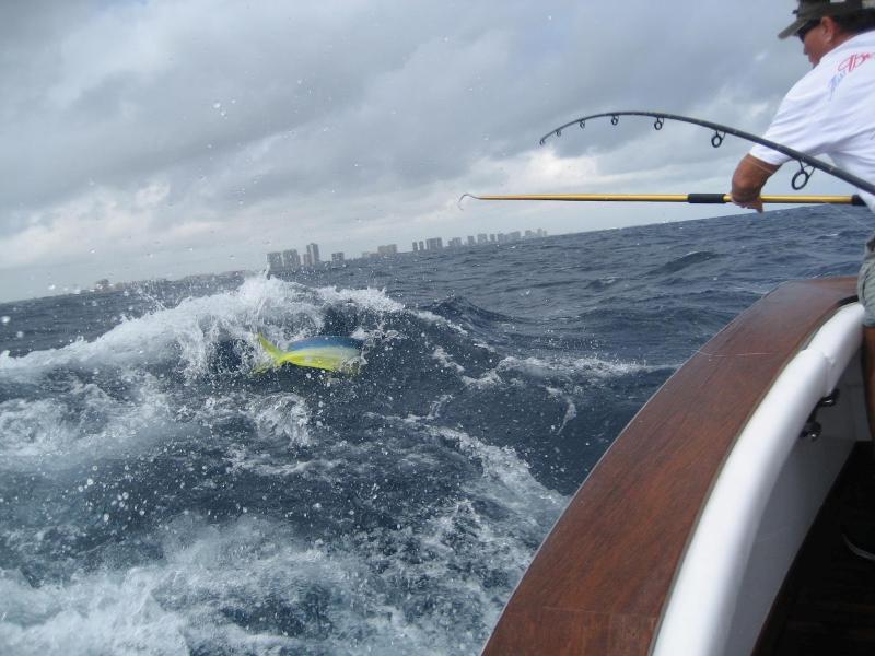 An angler hooks a dolphinfish off the coast of Florida. Photo by Ian VanMoorhe of Fort Lauderdale, Florida.