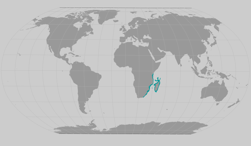 African Coelacanth range map