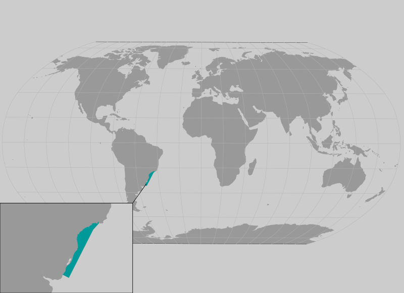 Brazilian guitarfish range map