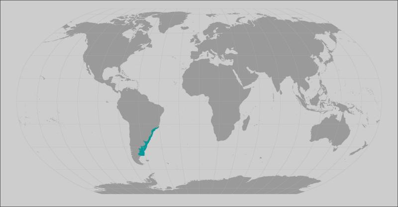 Narrownose smoothhound shark range map