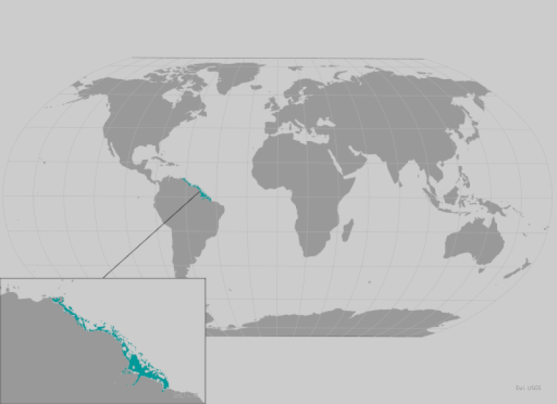 daggernose shark range map