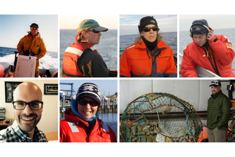 Collage of 7 portraits of right whale scientists.