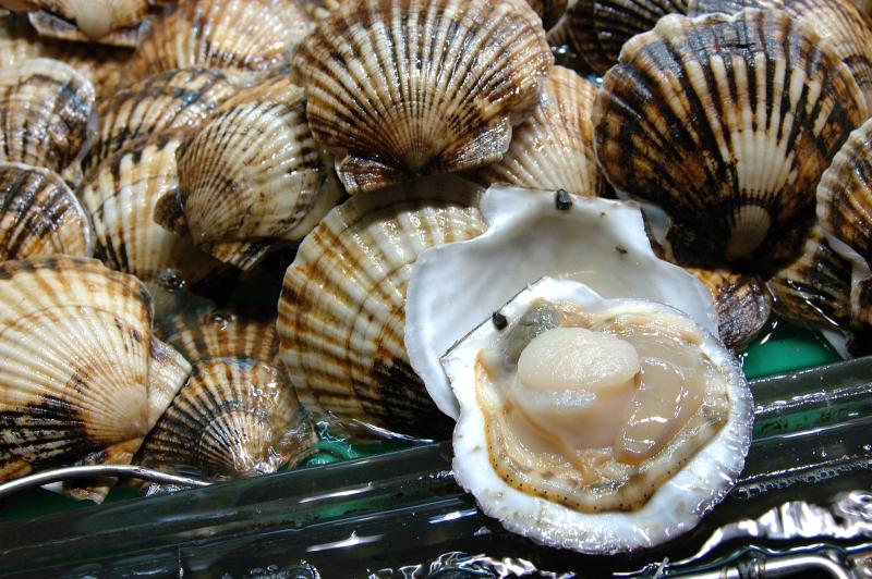 Fresh schucked scallops