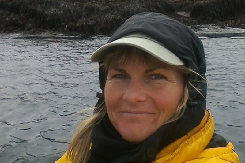 Kim Raum-Suryan at Graves Rock steller sea lion rookery