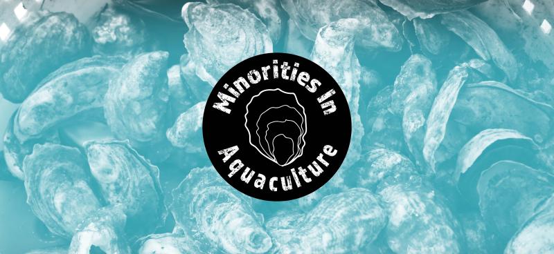 The "Minorities in Aquaculture" logo superimposed over a background of oysters in the shell.