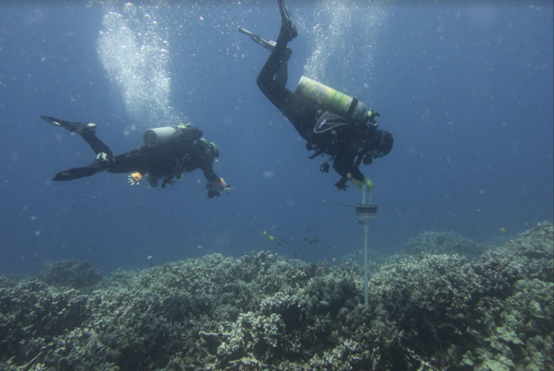 divers on a coral reef