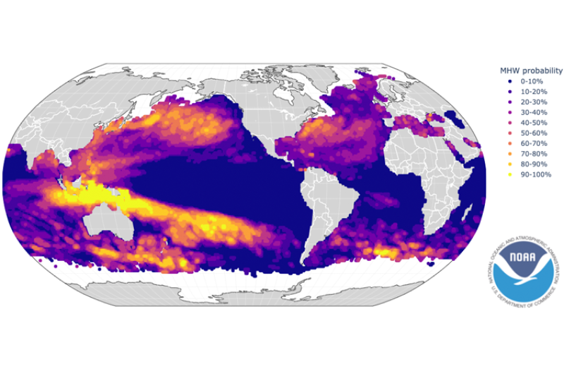 The latest global marine heatwave forecast showing the predicted probability of marine heatwaves for September 2022