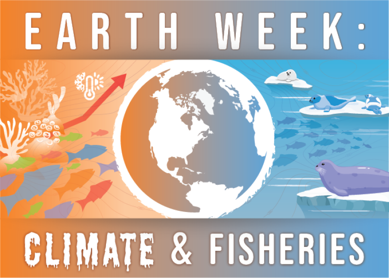 Graphic with image of Earth in the center and corals, seals, and fish with the rise of temperatures to illustrate climate change