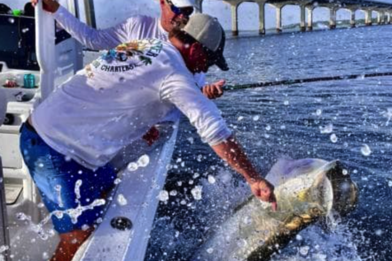 Massive tarpon release