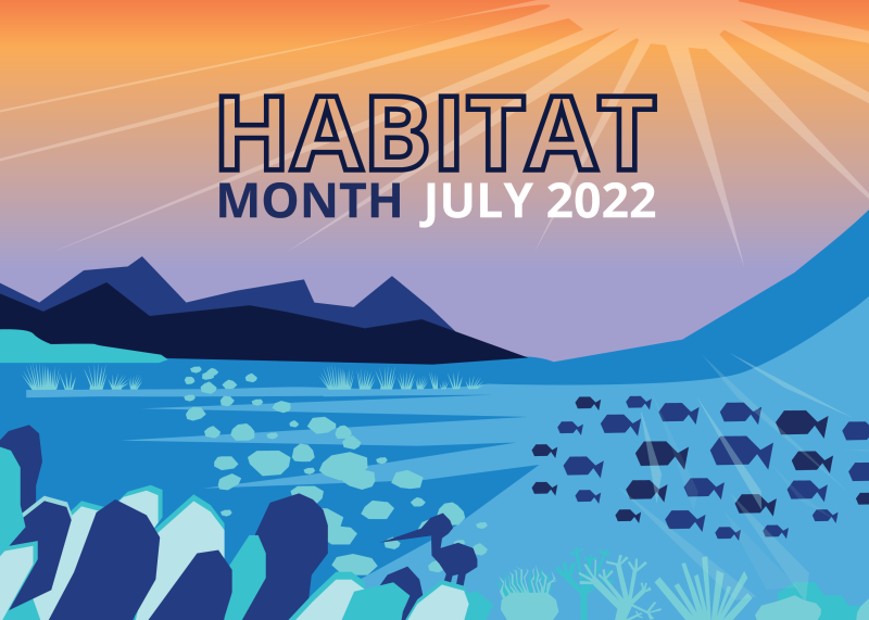 Graphic showing fish, birds, and coral in marine habitat 