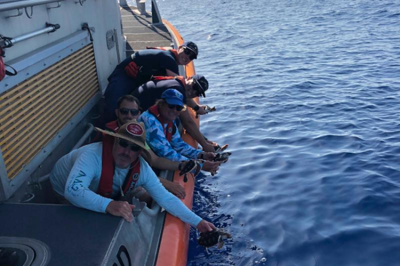 NOAA staff, with support from U.S. Coast Guard Station Fort Pierce, released 85 juvenile loggerhead sea turtles off of Florida's east coast.