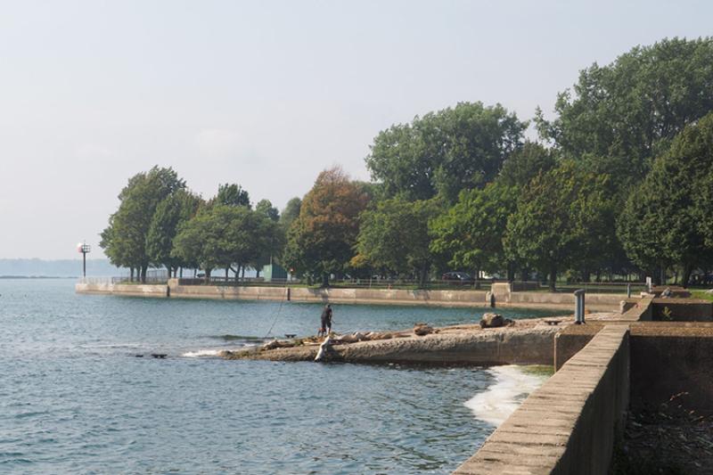 A concrete seawall separates a park from the water