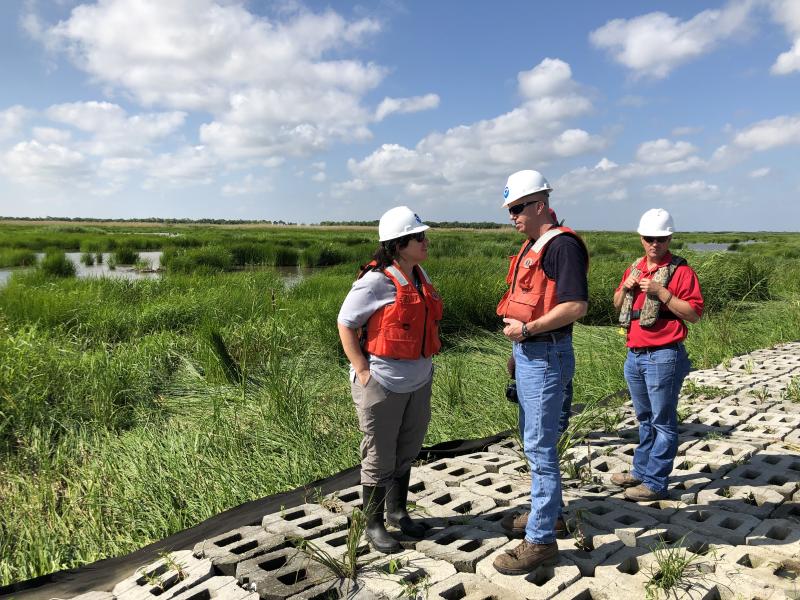 NOAA Fisheries staff in the field at a restoration project site in Louisiana