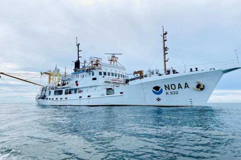 NOAA Ship Oregon II conducting shark and boney fish research.