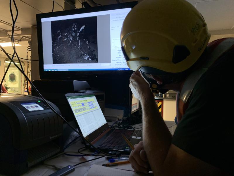 Scientist leans forward over a desk to look closer at a TV mounted on the wall showing rock with hydrocoral and a rockfish swimming.