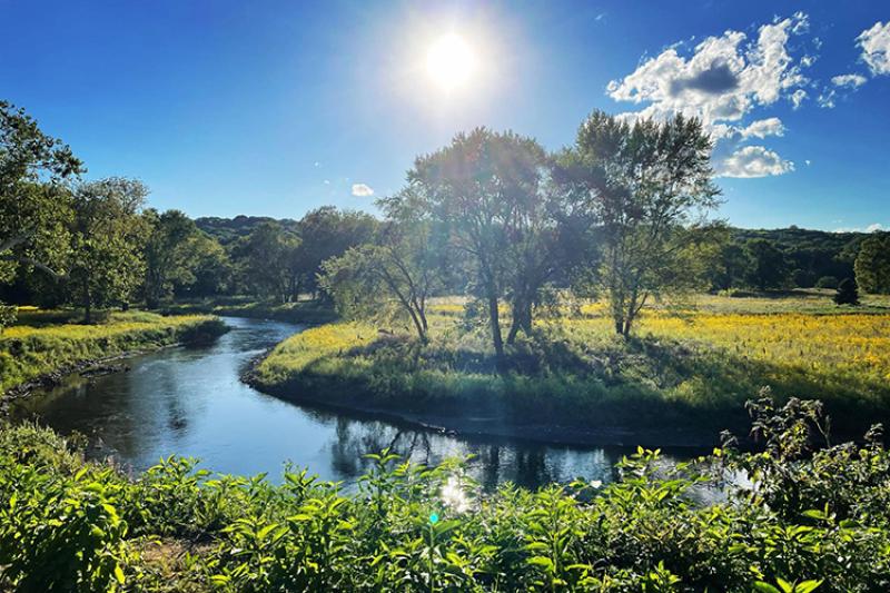 Trees and other vegetation line the banks of a winding river