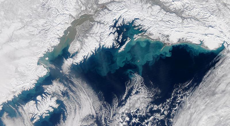 Satellite image showing winds and waves churning fine sediments and phytoplankton over the shallow nearshore waters and continental shelf of northern Gulf of Alaska