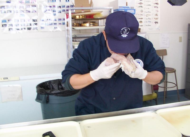 USDC Inspector