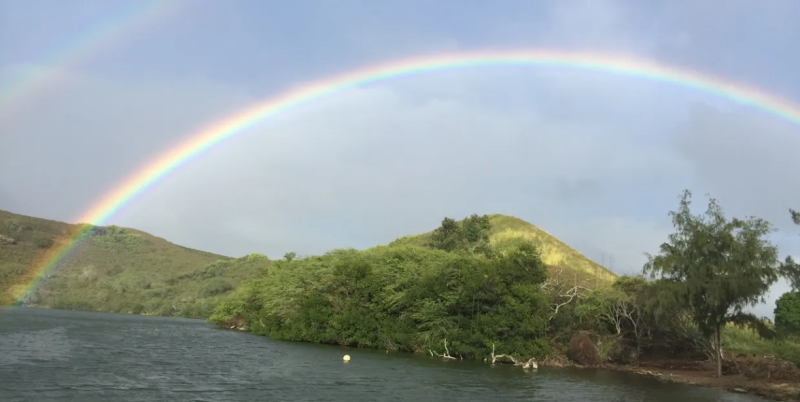A rainbow over the Nomilo Fishpond on a sunny day.