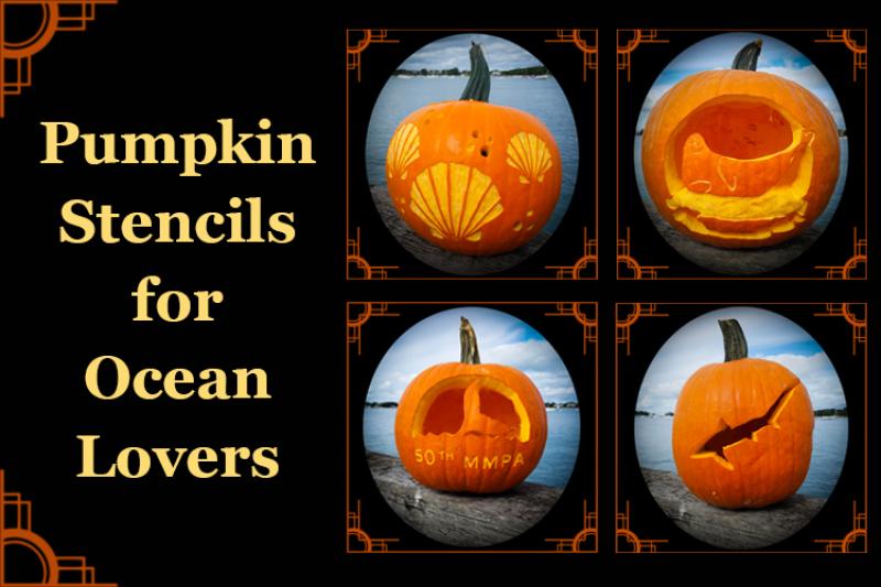 Images of carved pumpkins.