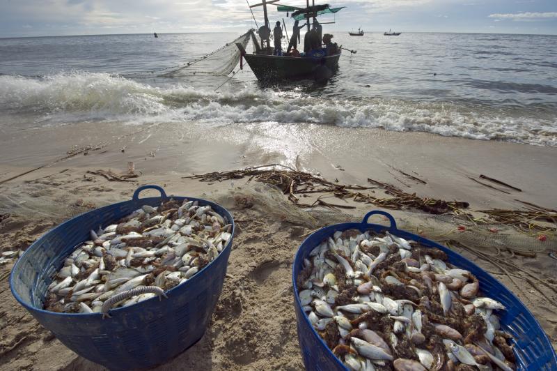 fishermen on boat with catch