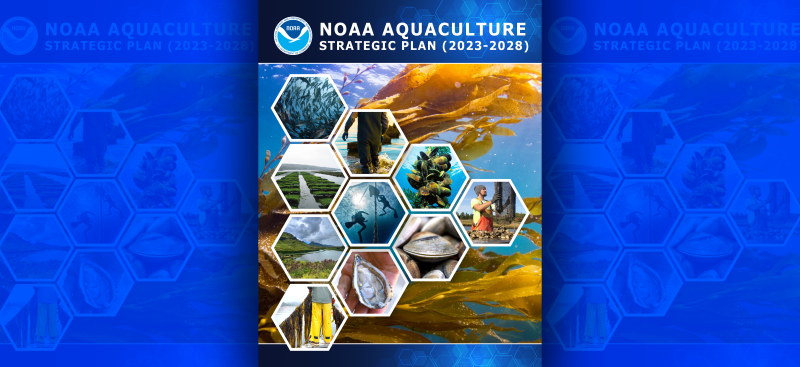 NOAA Aquaculture Strategic Plan (2022) report cover. A montage of aquaculture photos: Kampachi swimming, Ulva on oyster bags, Alakoko Fishpond (Hawai’i), net pen aquaculture, oyster farmers at work, raw oysters, mussel longlines, a hand holding bay scallops, and hard shell clams.