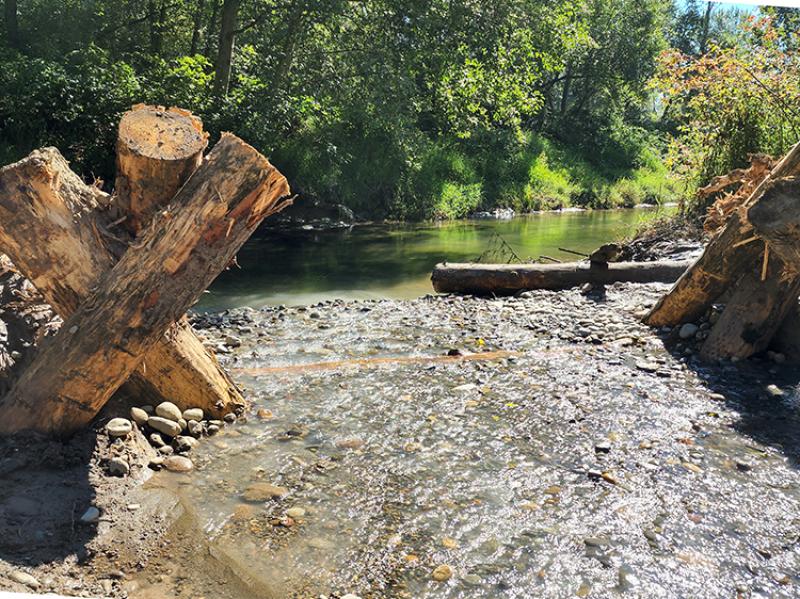 A shallow creek runs over small rocks and into a larger creek. 