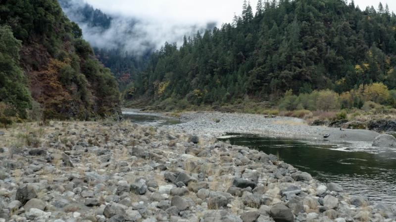 Klamath River surrounded by forest with mist in the background.