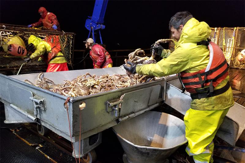Commercial fishing boat with man handling crabs 