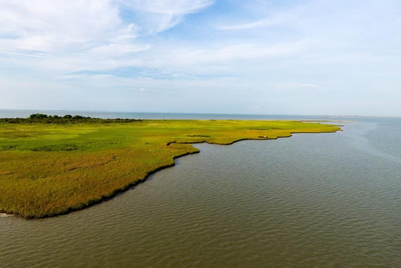 A birds-eye view of an expanse of dark green water in the foreground with a bright green marsh in the mid-ground and a blue sky above