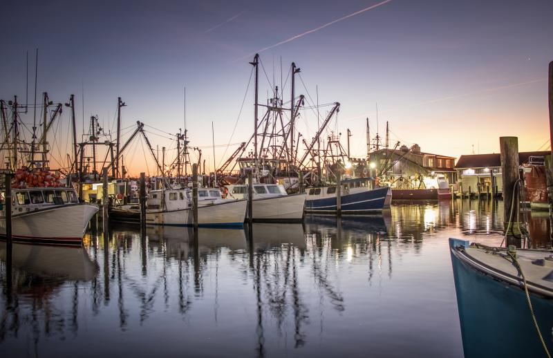 Photo of an east coast fishing port.