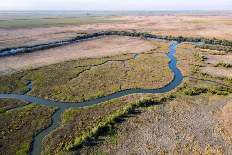 Flat floodplain with minimal vegetation