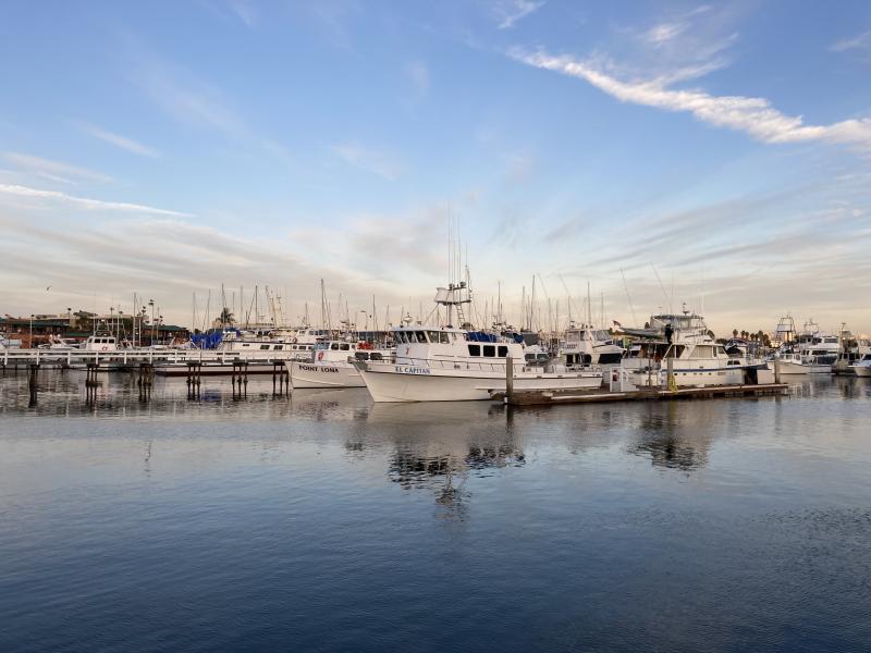 A variety of vessels docked in San Diego, California