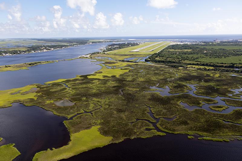 Aerial view of salt marsh habitat