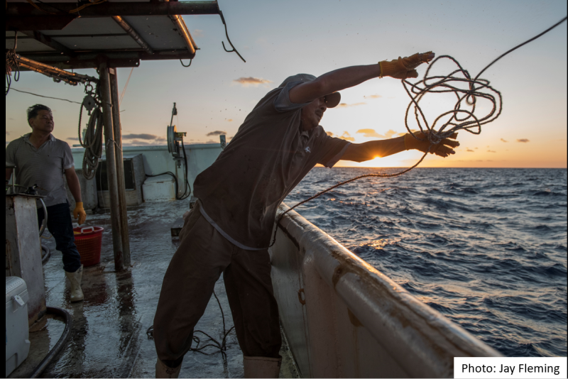 Gulf of Mexico Fishermen Reflect on Efforts to Restore Oceanic Fish