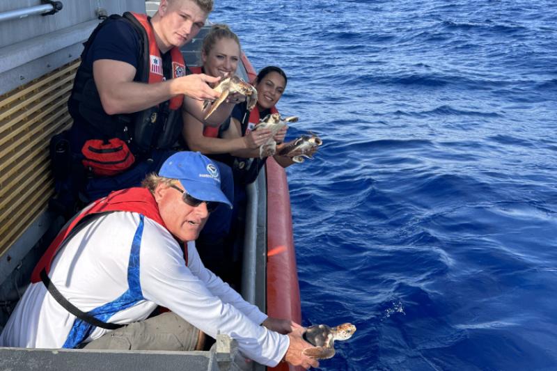 2 women and 2 men each holding a small sea turtle lean over the side of a ship about to release the turtles
