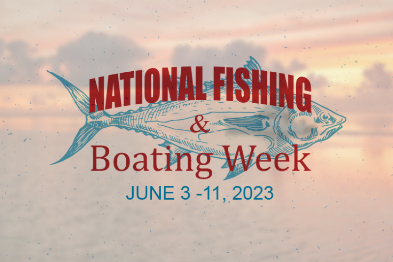 National Fishing and Boating Week 2023 banner, fish illustration imprinted on sunset