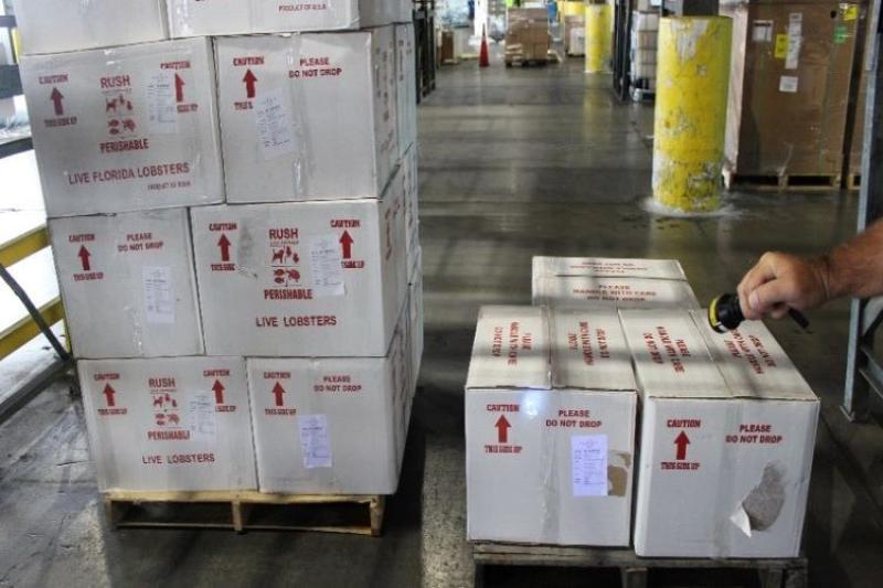 Officers found thousands of pounds of imported lobster that were repackaged into boxes labeled as products of the U.S.A.