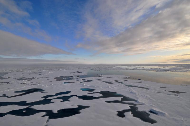 An ocean covered in ice floes stretches towards the horizon.