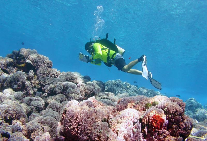 A diver swims over coral while recording its size and condition. 