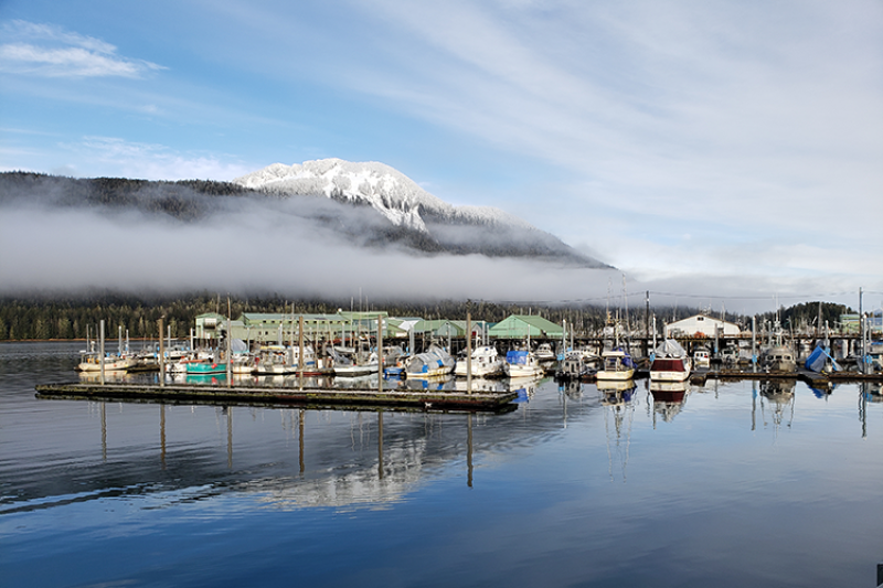 Marina full of boats with a mountain in the background
