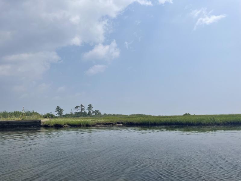 Water laps up against a mostly grassy shoreline. There is a small area of bulkheaded shoreline. In the background, there are a few taller trees.