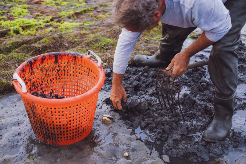 A man in boots dig for clams in the mud next to an orange bucket.